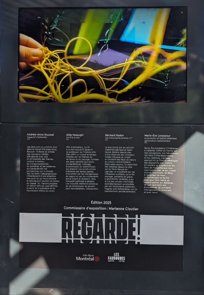 photo_2025-11-28_16-12-04