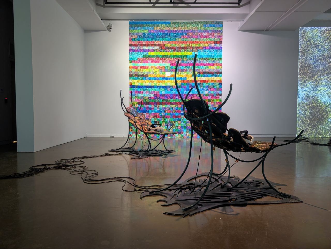 photo_2025-12-02_20-41-31