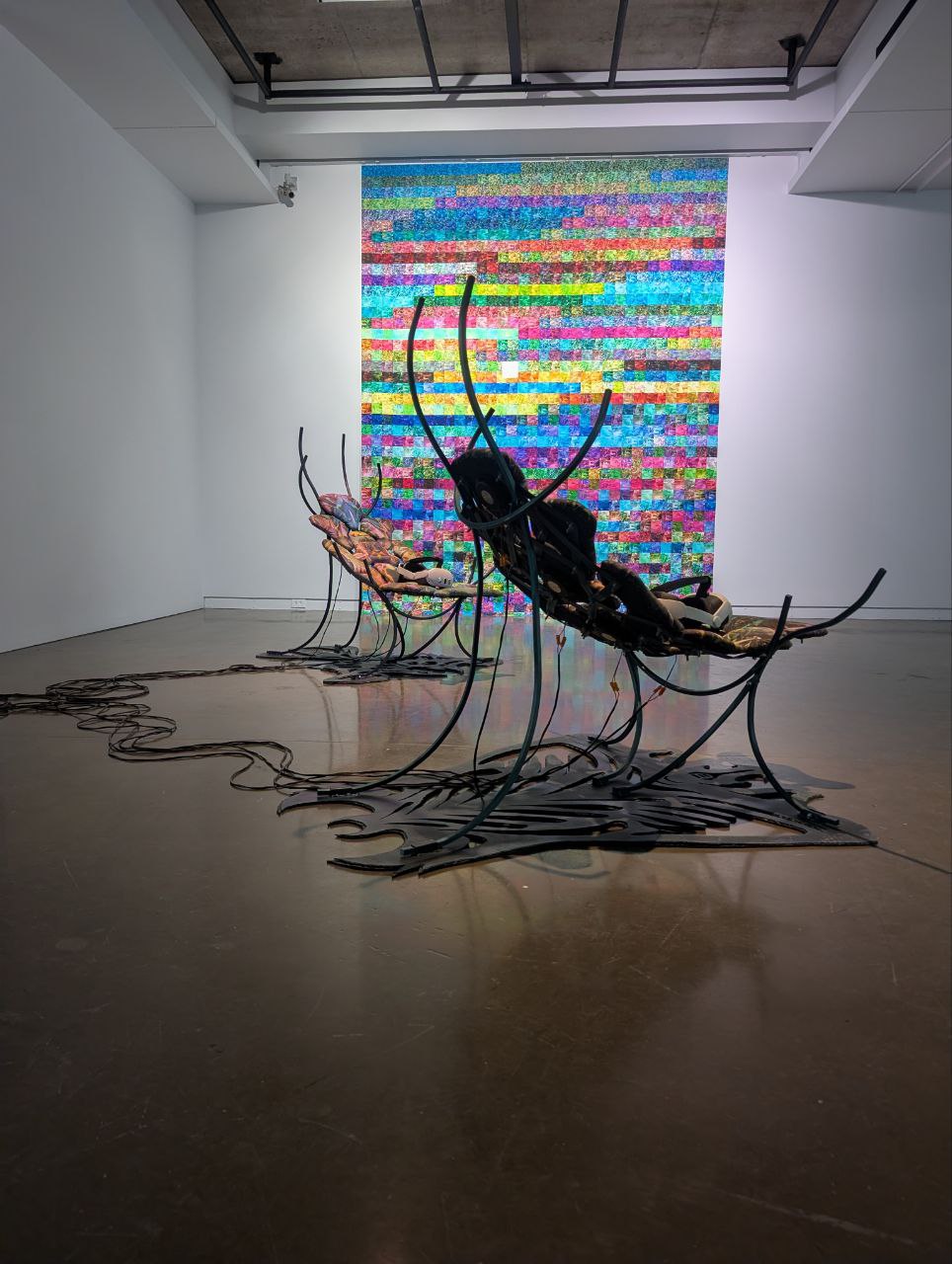 photo_2025-12-02_20-41-41